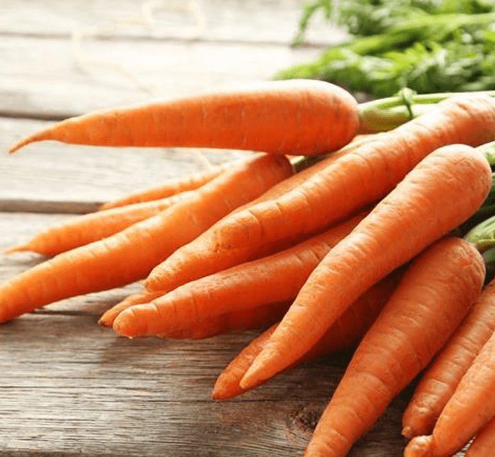Dried Carrot by Farmbridge