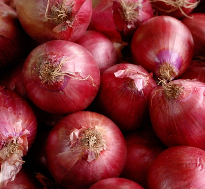Dehydrated Onions