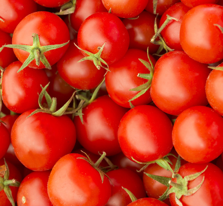 Dried Tomato by Farmbridge
