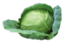 Farmbridge - Best Dried Vegetables Supplier in India