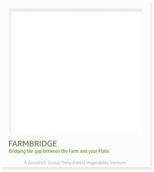 Farmbridge - Best Dehydrated Vegetables Supplier in India