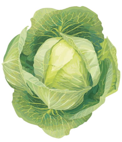Farmbridge - Best Dried Vegetables Exporter in India