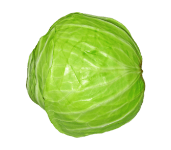 Farmbridge - Best Dehydrated Vegetables Supplier in India
