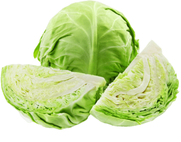 Farmbridge - Best Dried Vegetables Exporter in India