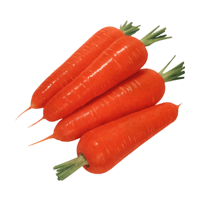 Farmbridge - Best Dried Vegetables Exporter in India
