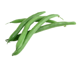 Farmbridge - Best Dried Vegetables Supplier in India