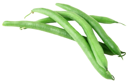 Farmbridge - Best Dehydrated Vegetables Supplier in India